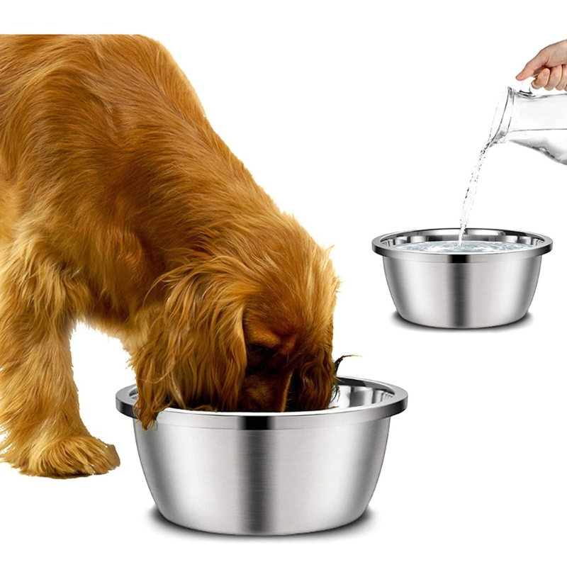 Royal Canin Food Medium - Comederos para perros de acero inoxidable,