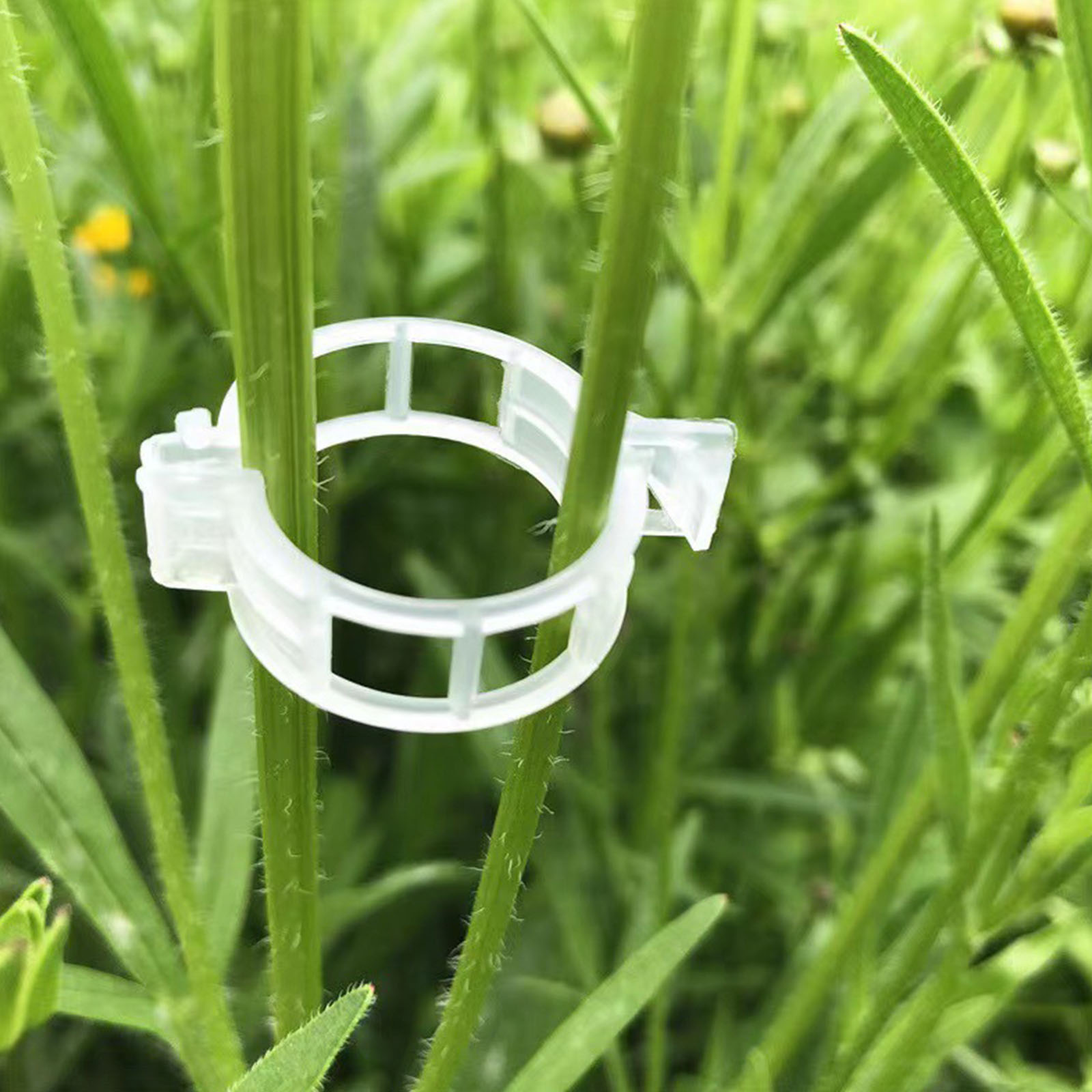 Vine Climbing Plastic - Clip de Plástico Seguro para Plantas,