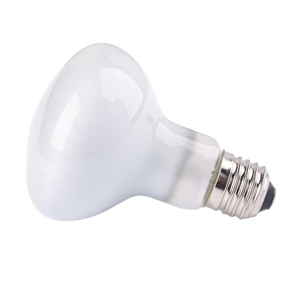 Lámpara de Calor para Anfibios - Basking Bulb Halogen reseña y precio