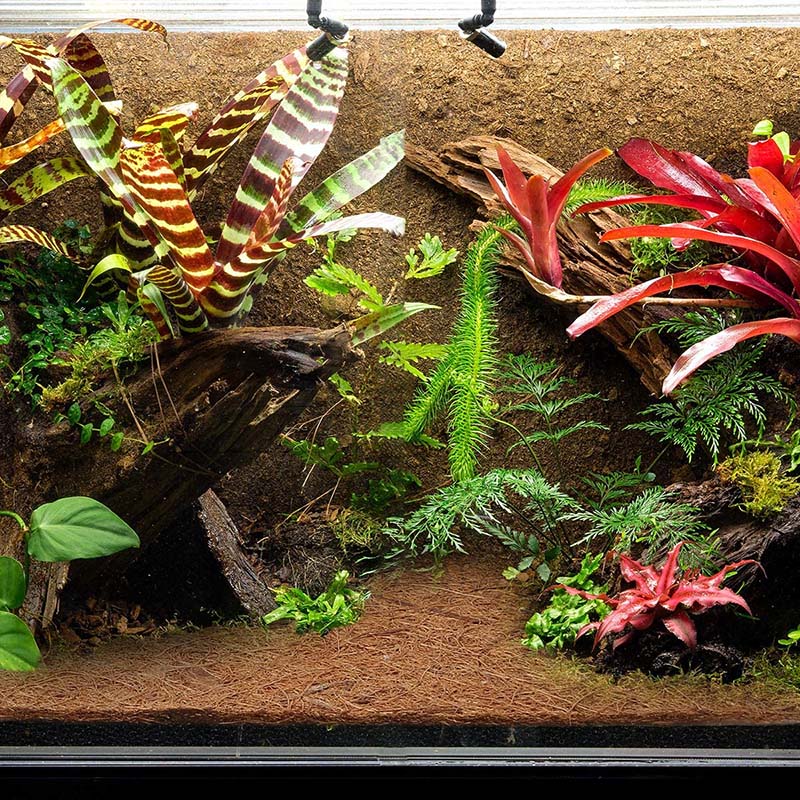 AT21-Tapete de Fibra de Coco N - Substrate Coconut Fiber reseña y precio