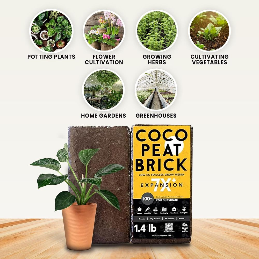 Ladrillo de turba orgánica pre - Substrate Coconut Fiber reseña y precio