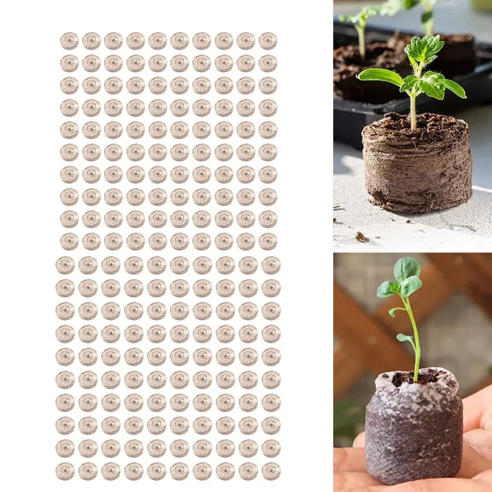 100 piezas de pellets de fibra - Substrate Coconut Fiber reseña y precio