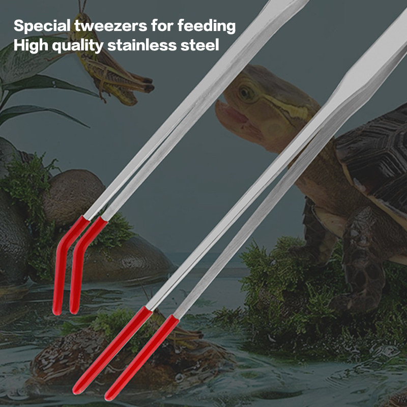 Pinzas de alimentación para re - Feeding Tong Stainless reseña y precio