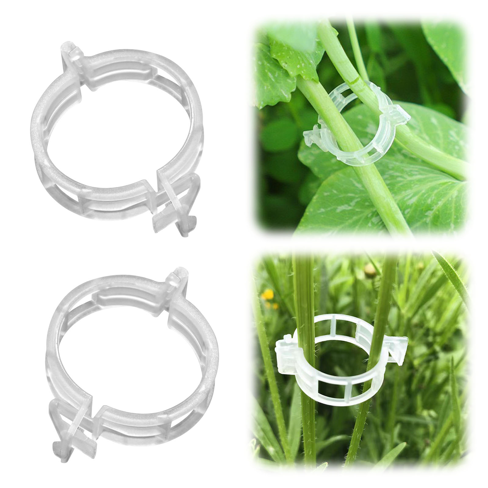 Clip de Plástico Seguro para P - Vine Climbing Plastic reseña y precio