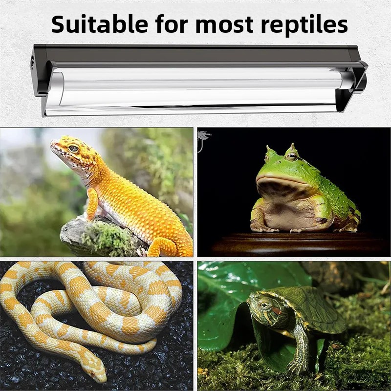 Kit de Lámpara UVB T5 con Sopo - Calcium Powder Reptile reseña y precio