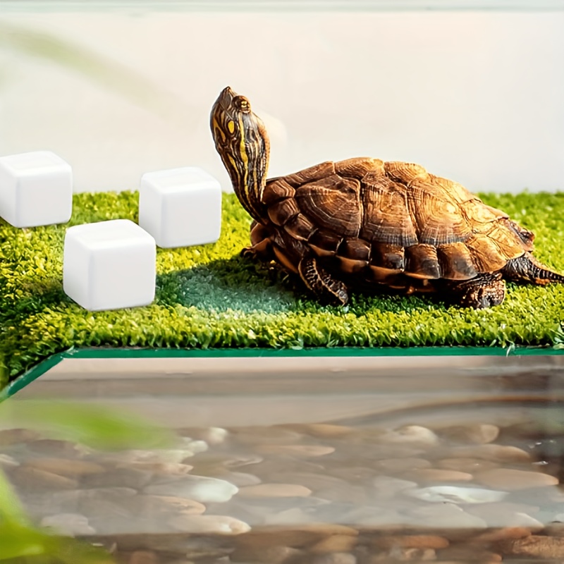 6 unidades de bloques de calci - Calcium Powder Reptile reseña y precio